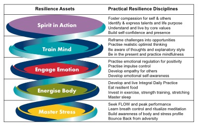 Graphic #2-Resilience Assets-copyright The Resilience Institute
