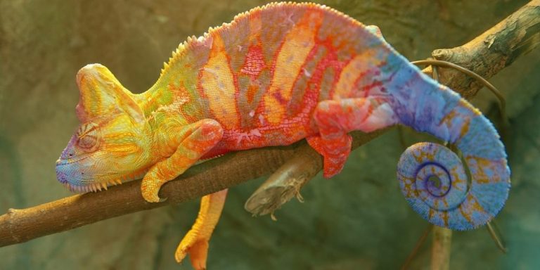 3 ways to harness change as a force for driving innovation and adaptability