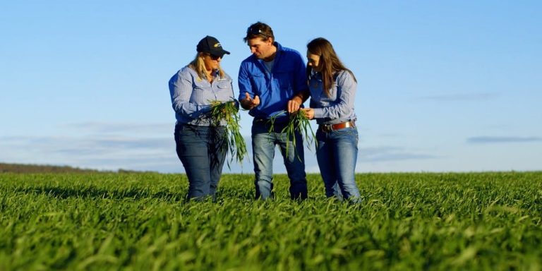 Ruralco: sowing the seeds for digital HR transformation success